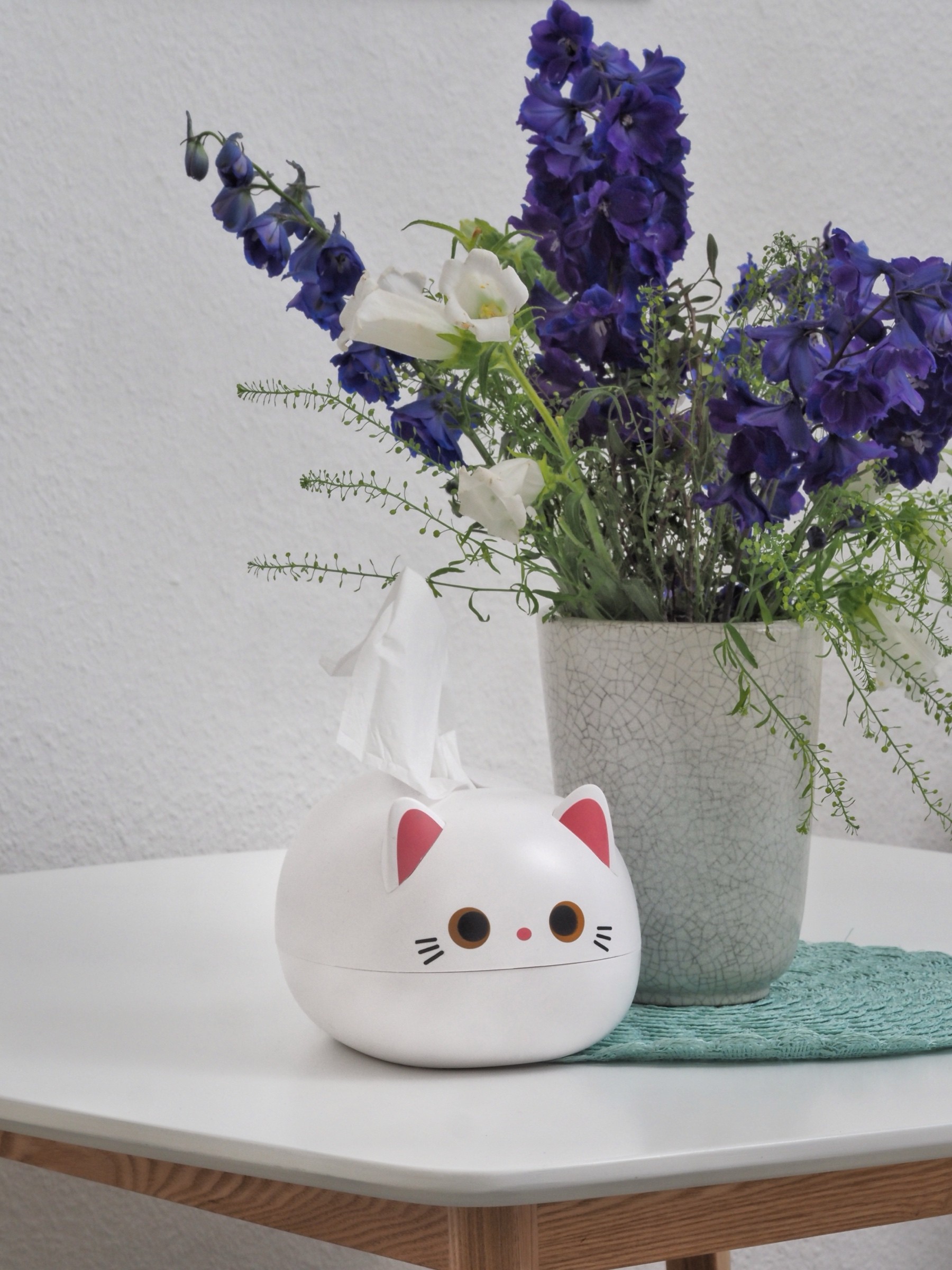 Katze
